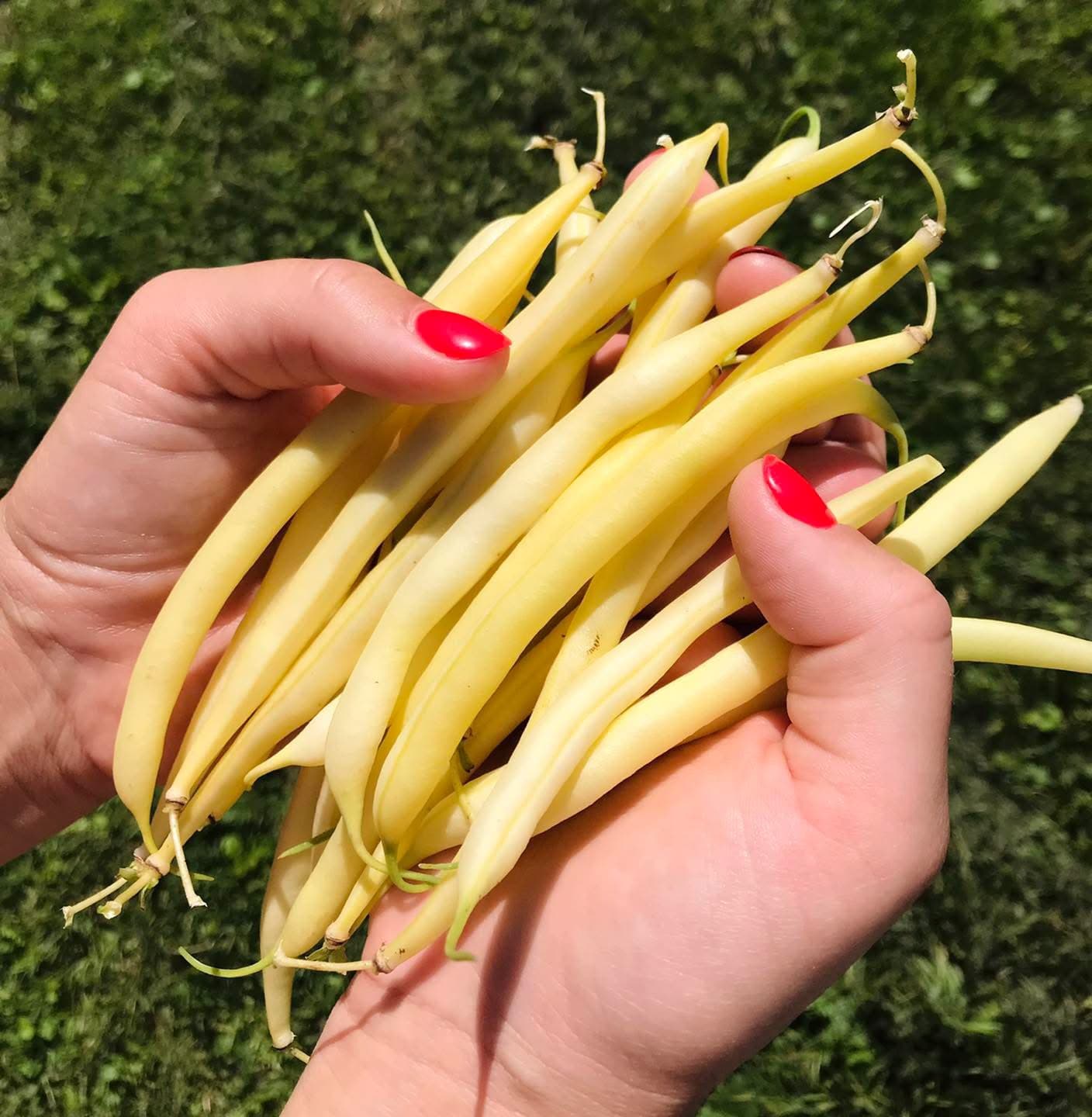 Sviesta pupiņas 500 gr