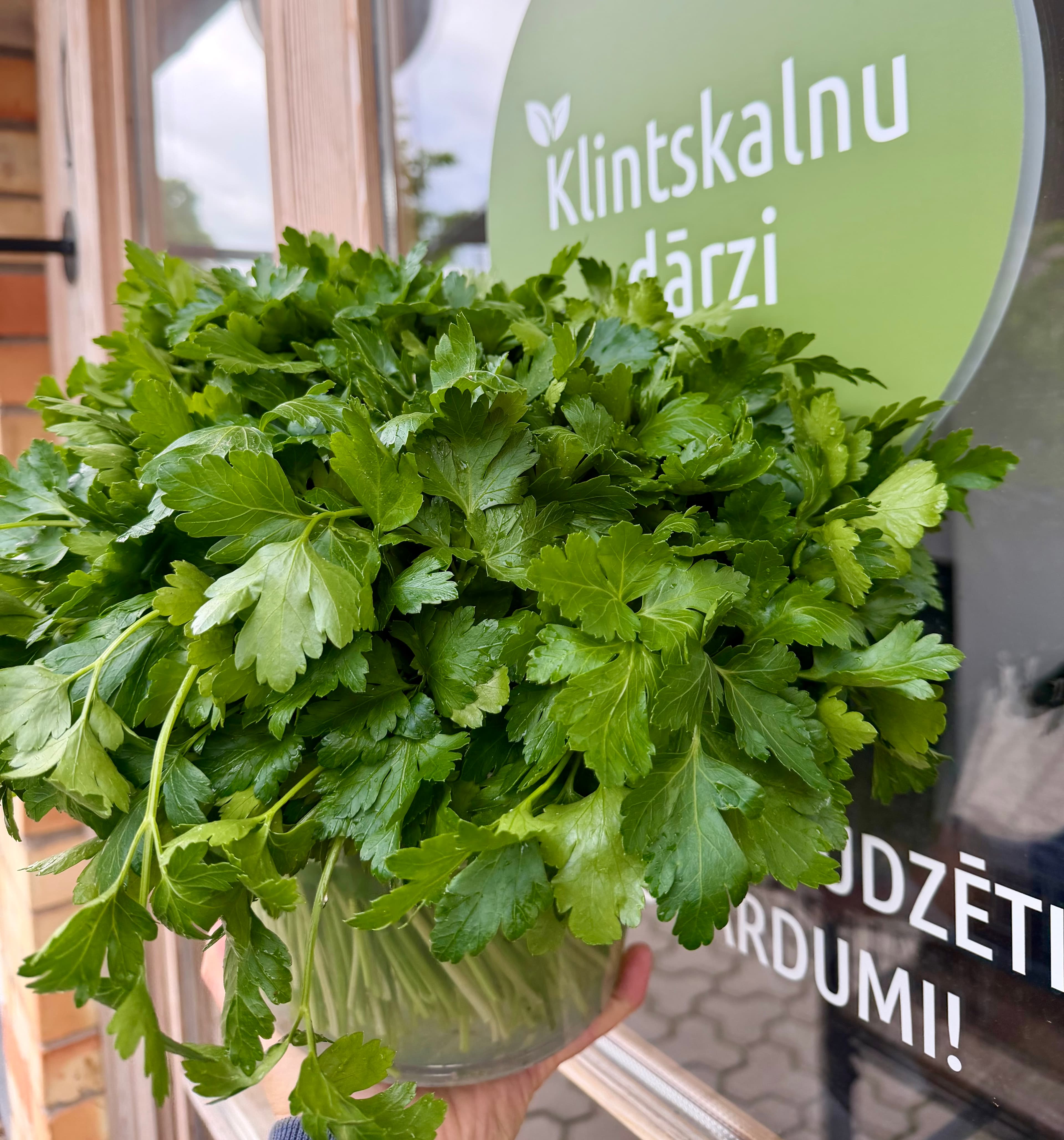 Pētersīļi 100 gr